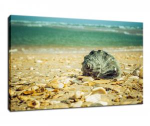Daydreams on the Shore Nature Photo Wall Art Print